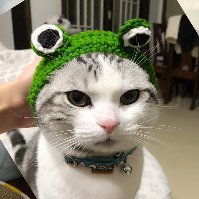 Knitted Wool Pet Hat Photo  Frog Headdress