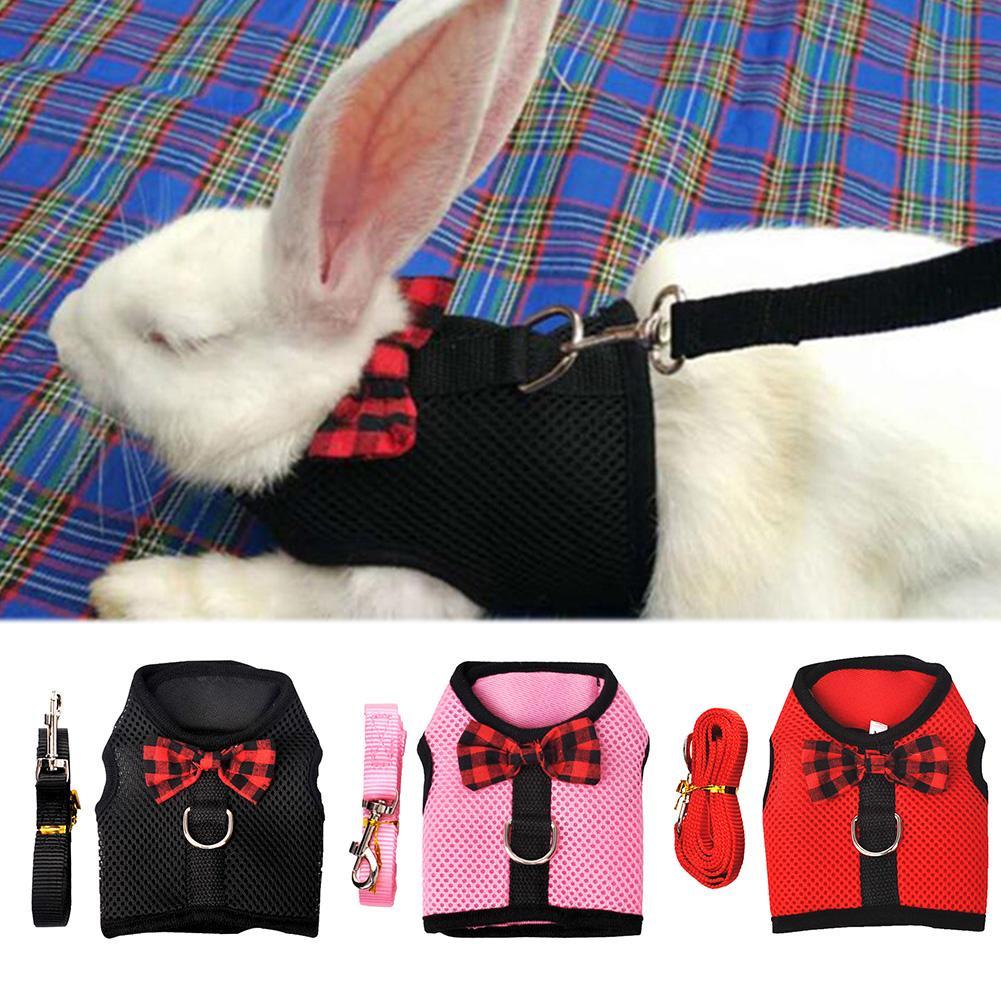 Rabbit Vest-Style Breathable Mesh Harness – Comfortable & Secure! 🐰🎽✨