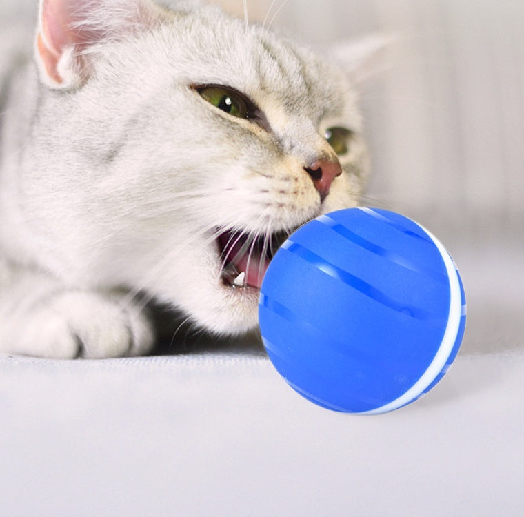 LED Rolling Flash Ball – Interactive Pet Toy 🐾✨