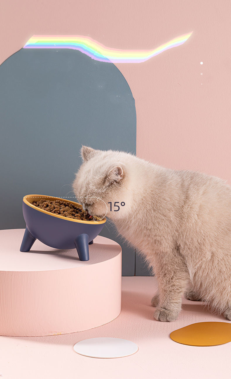 🐾 Cat & Dog Bowl with Stand – Stylish & Functional Pet Feeder