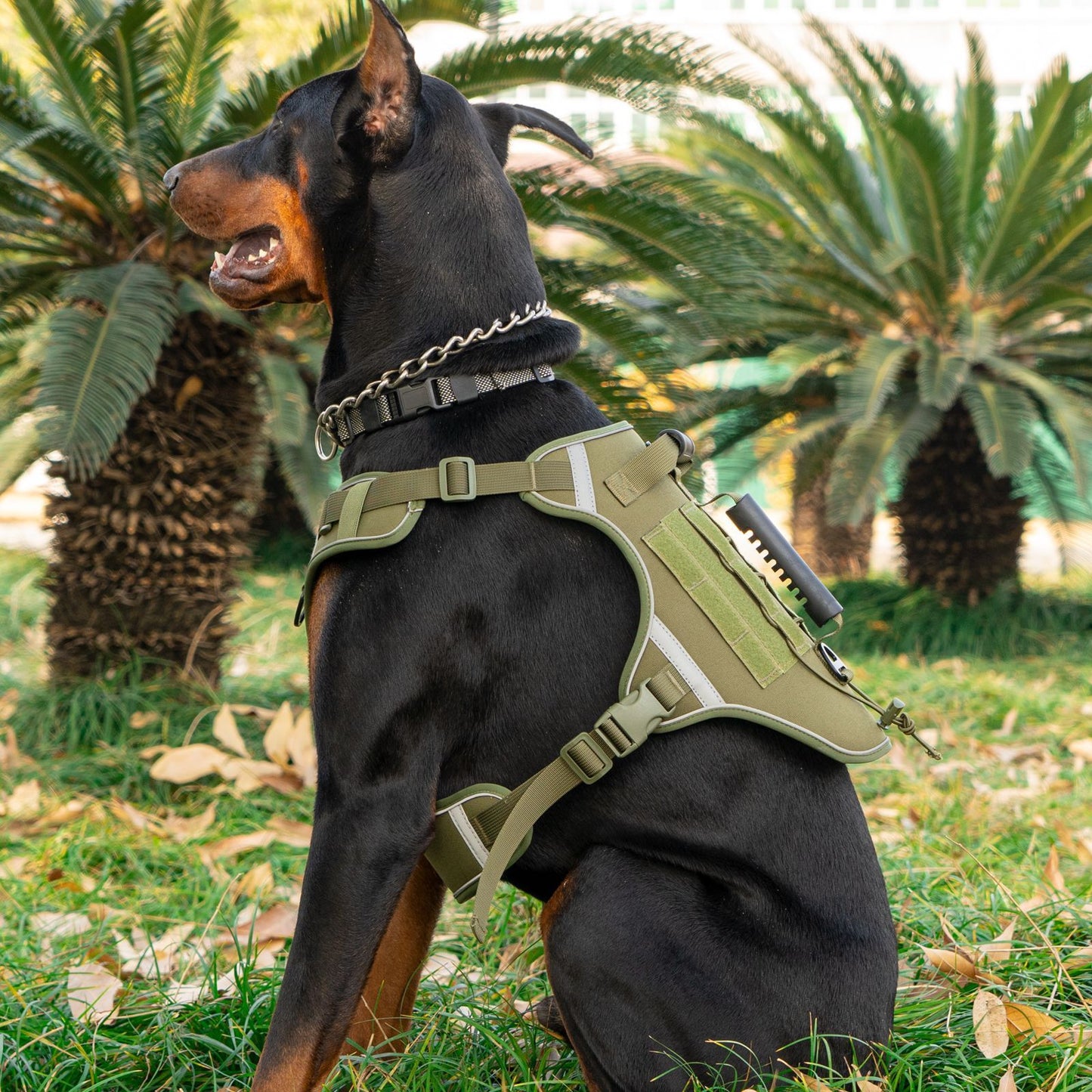 Tactical Breathable Pet Vest – Secure & Reflective for Outdoor Adventures! 🐶🎽✨