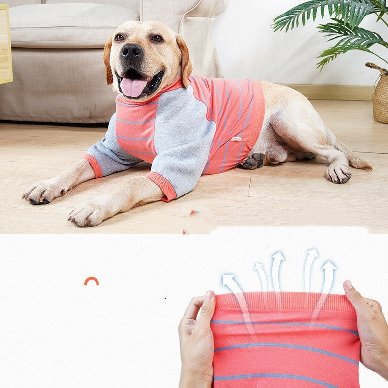 Dog Elbow Pads – Protective & Comfortable Support! 🐶✨🦴