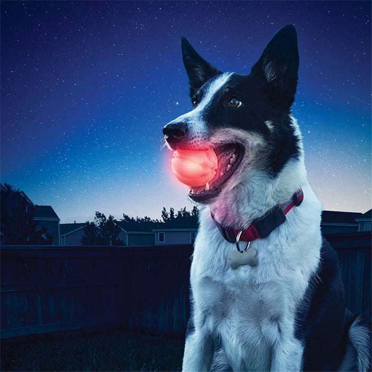 LED Glowing Dog Ball – Durable & Fun! 🐾✨