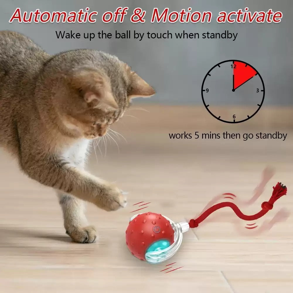 Interactive Cat Toy Ball – Super Drive Rolling Fun