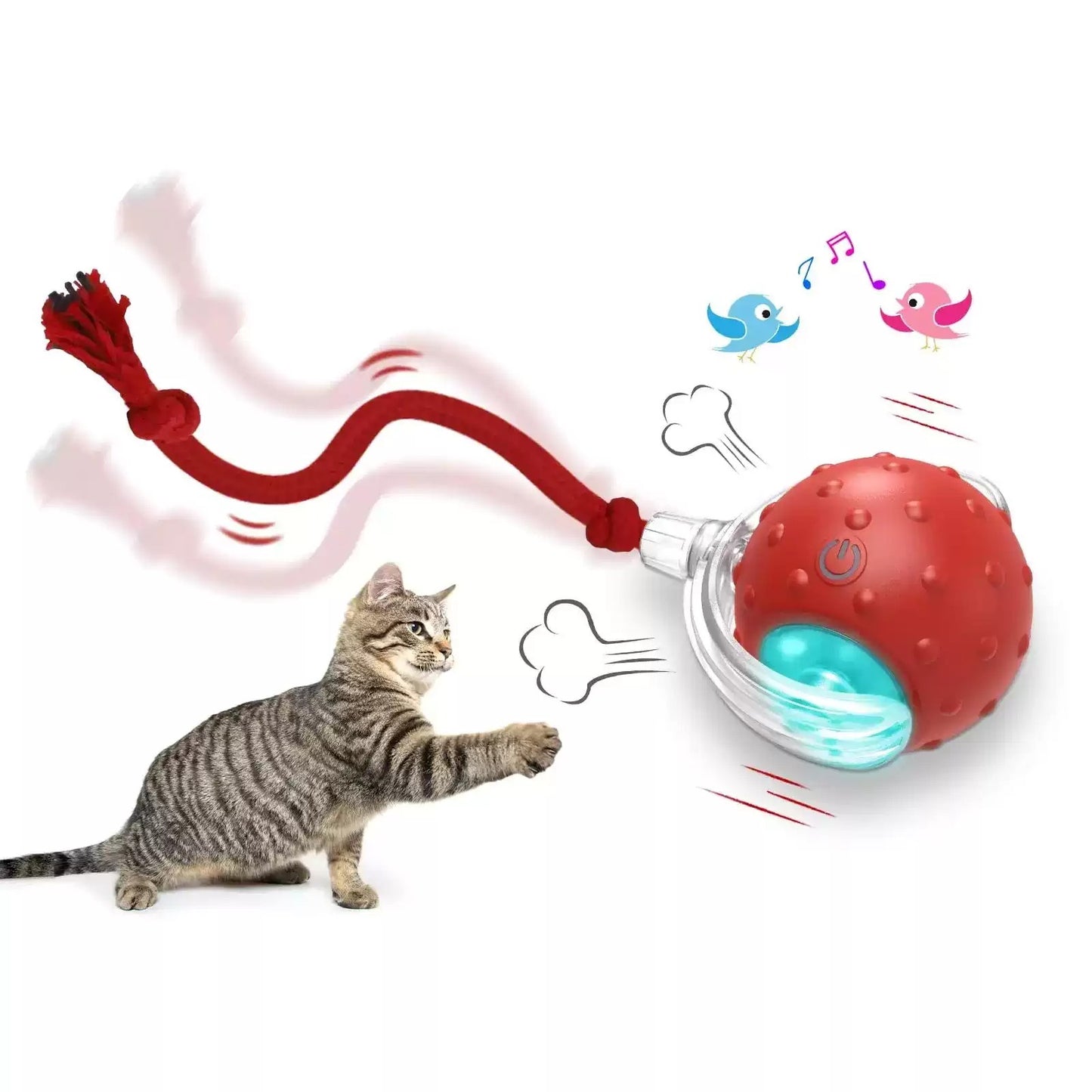 Interactive Cat Toy Ball – Super Drive Rolling Fun