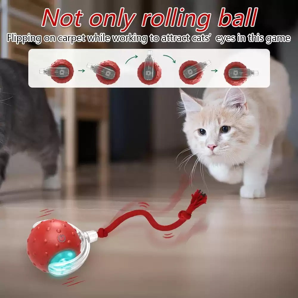 Interactive Cat Toy Ball – Super Drive Rolling Fun