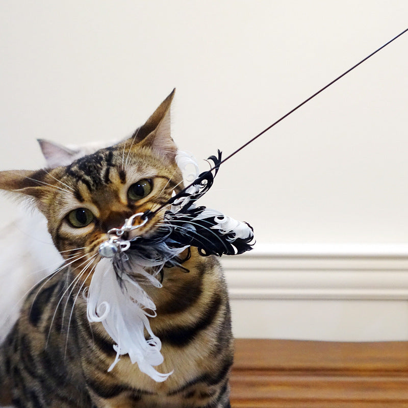 Tian Tian Bird Feather Cat Toy – Interactive Fun for Cats! 🐱✨🎣