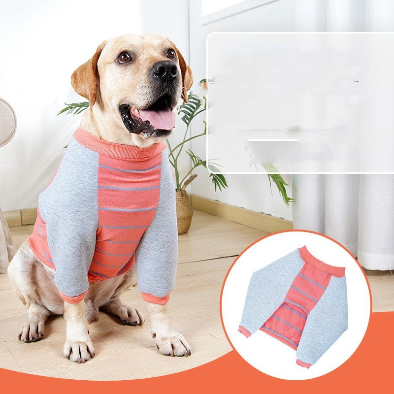 Dog Elbow Pads – Protective & Comfortable Support! 🐶✨🦴