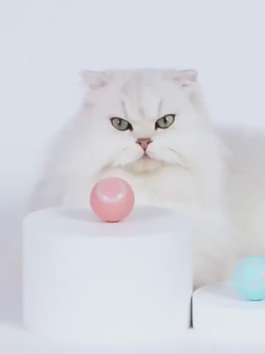 Electric Interactive USB Charging Spin Ball – Perfect Toy for Cats & Dogs! 🐾